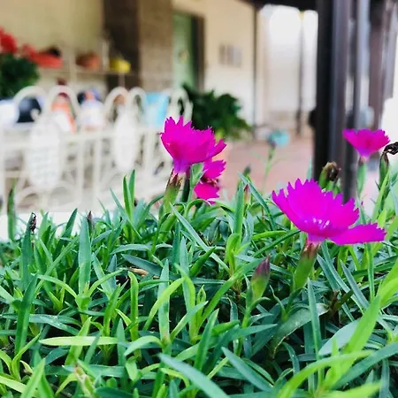 Isotta Country House * Civita Castellana